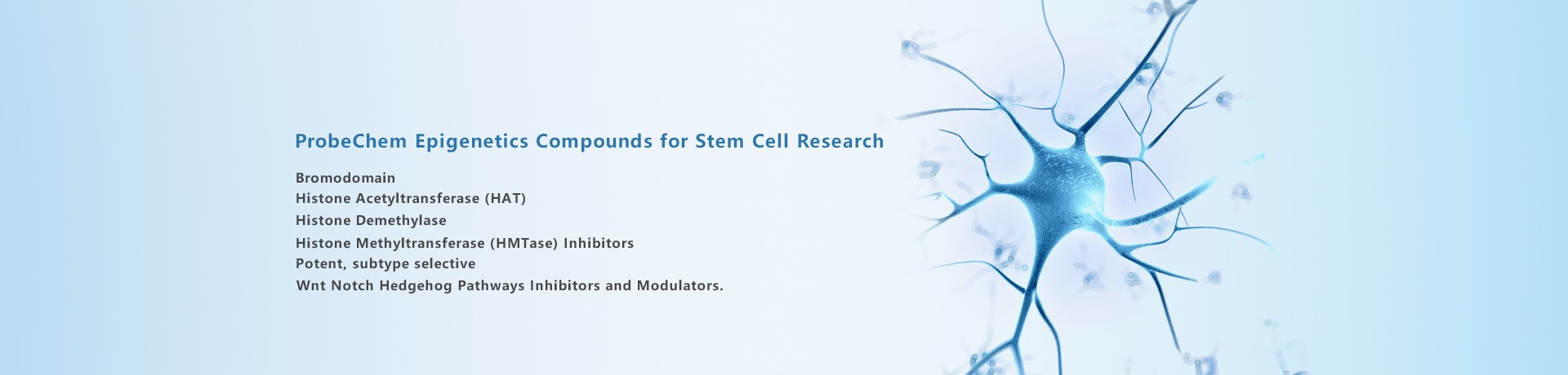 ProbeChembanner2 Epigenetics Compounds