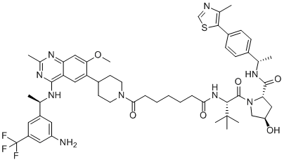 ZZ151