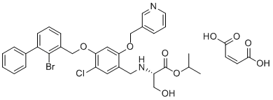 IMMH-010 maleate