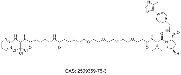 CP5V