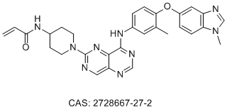 Zongertinib