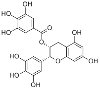 EGCG