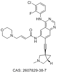 BDTX-1535