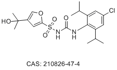 NP3-146