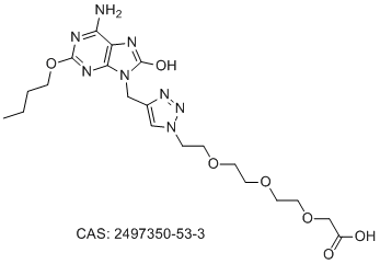 GY101