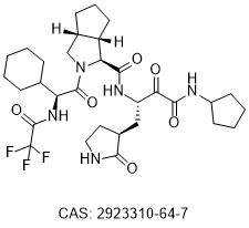 RAY1216