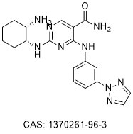 PRT062607