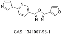 HYPE inhibitor I2.10