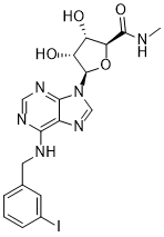 CF101