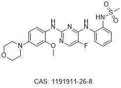 CZC-25146