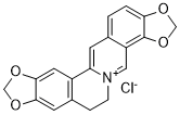Coptisine chloride