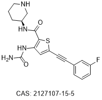 PHI-101