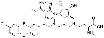 KMT9 inhibitor 7b