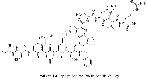 Connexin 43 inhibitor Gap 26