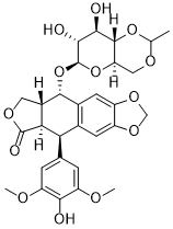 Etoposide