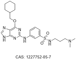 Nek2 inhibitor Compound 53