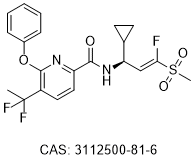 WRN helicase WC-2