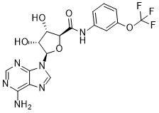 METTL21A-IN-1