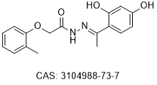 STAT3 CCD inhibitor K134