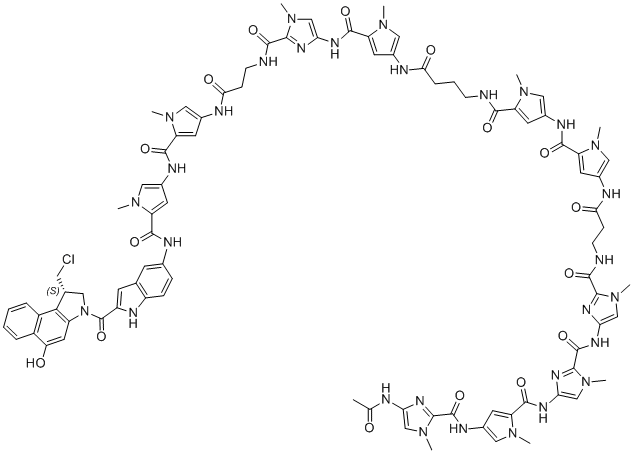 CCC07-01