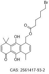 FR58P1a