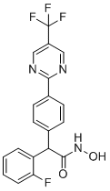 CHDI-390576