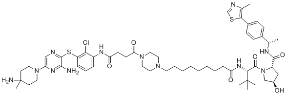 SHP2-D26