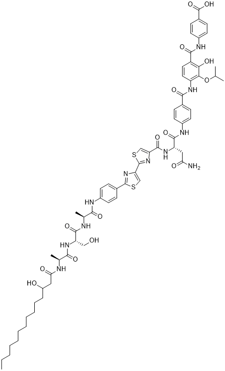 Lapcin