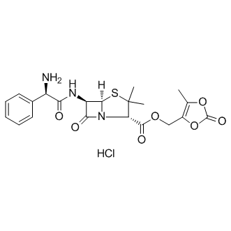 Lenampicillin hydrochloride