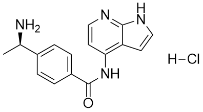 Y-39983