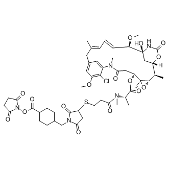 SMCC-DM1