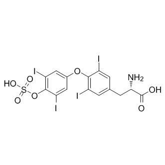 Thyroxine sulfate