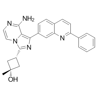 Linsitinib