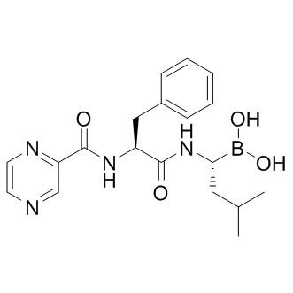 Bortezomib