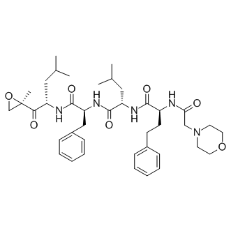 Carfilzomib