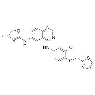 Varlitinib