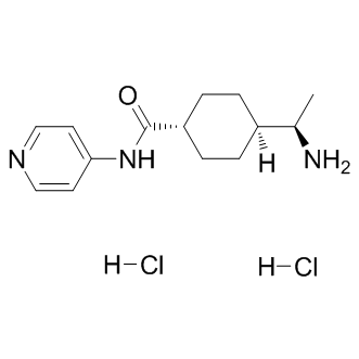 Y-27632 dihydrochloride