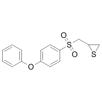 SB-3CT