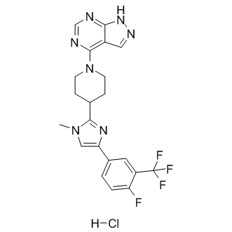 LY-2584702 hydrochloride