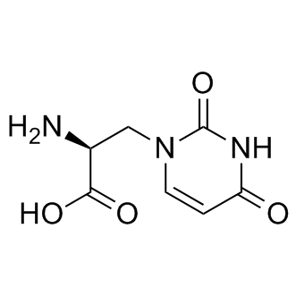 (S)-Willardiine