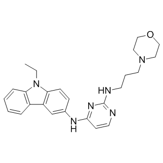 EHop-016