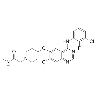 Sapitinib