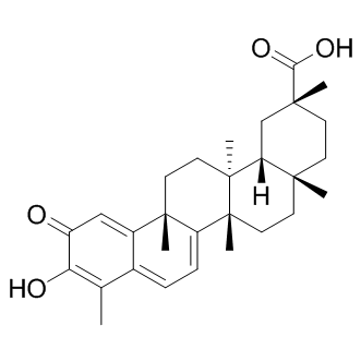 Celastrol