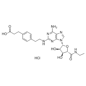 CGS 21680 hydrochloride