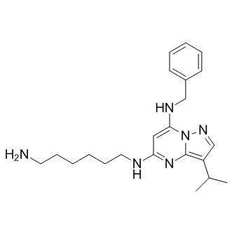 BS-181