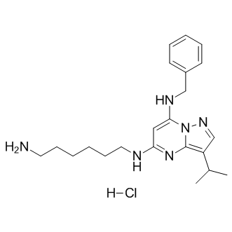 BS-181 hydrochloride