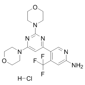NVP-BKM120 hydrochloride