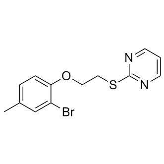 ZLN-024