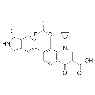 Garenoxacin