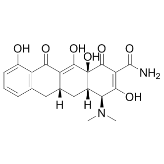 Sancycline